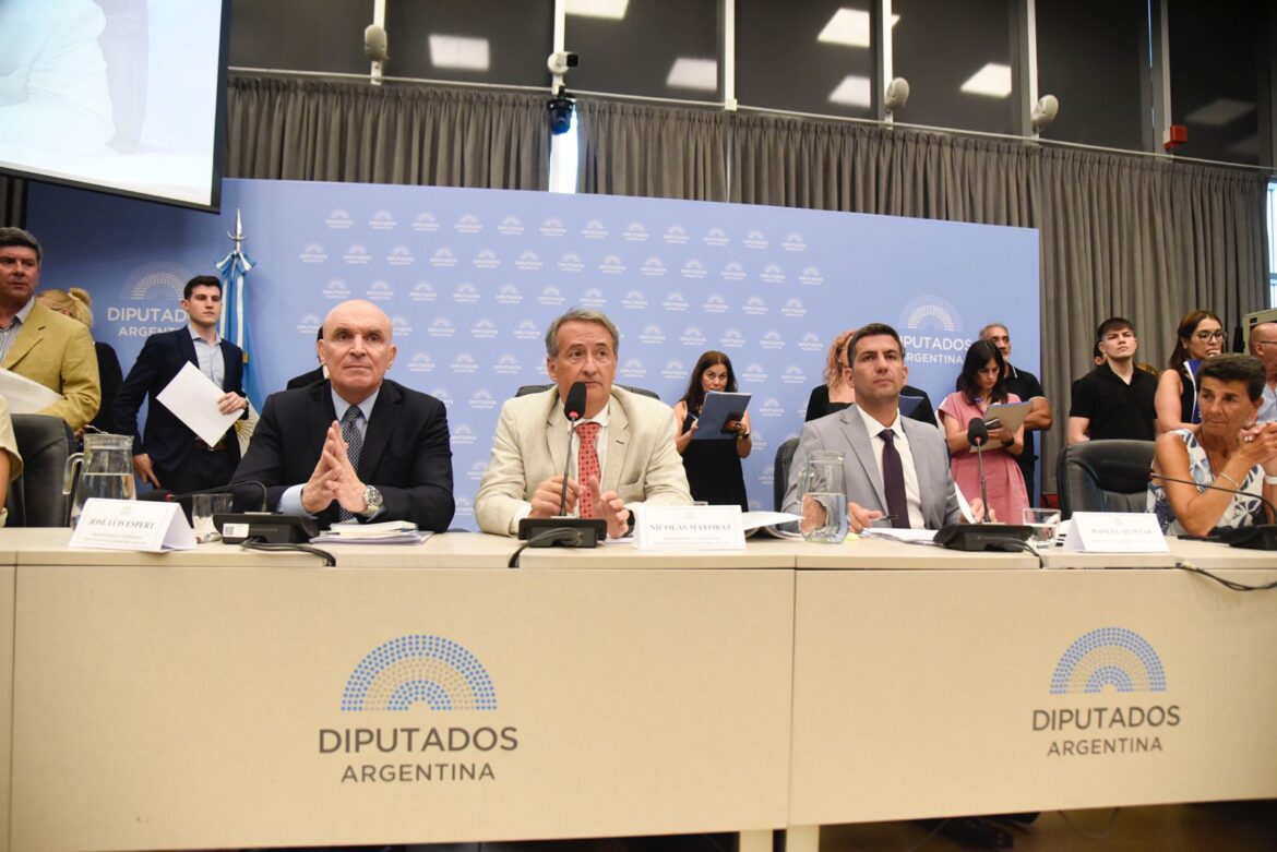 DEBATE EN DIPUTADOS: EL GOBIERNO BUSCA APROBAR LA REFORMA ELECTORAL