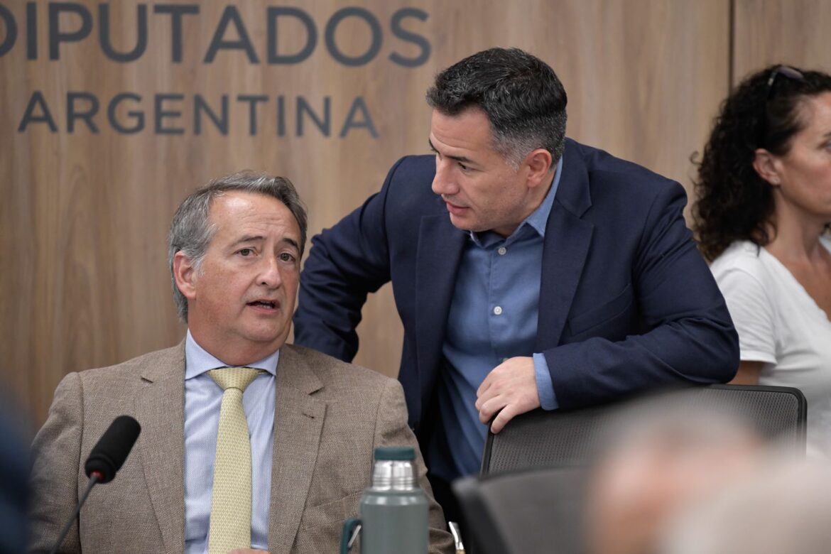 DIPUTADOS DEBATE EL PROYECTO DE LEY DE FICHA LIMPIA