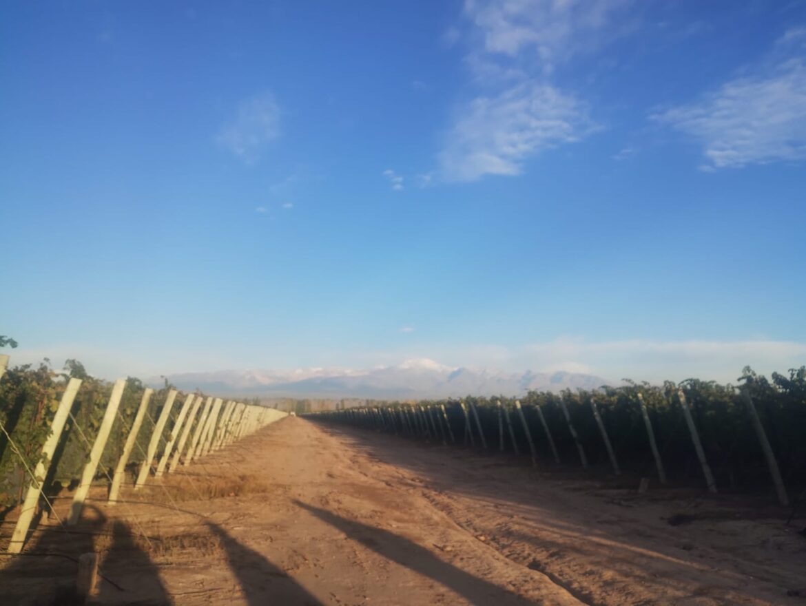 EL PRONÓSTICO DEL TIEMPO EN MENDOZA