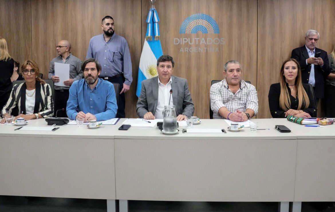 REUNIÓN INFORMATIVA SOBRE EL PROYECTO DE EMERGENCIA EN DISCAPACIDAD