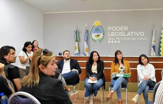REUNIÓN DE DIPUTADOS CON ASOCIACIONES DE DISCAPACIDAD EN CHACO