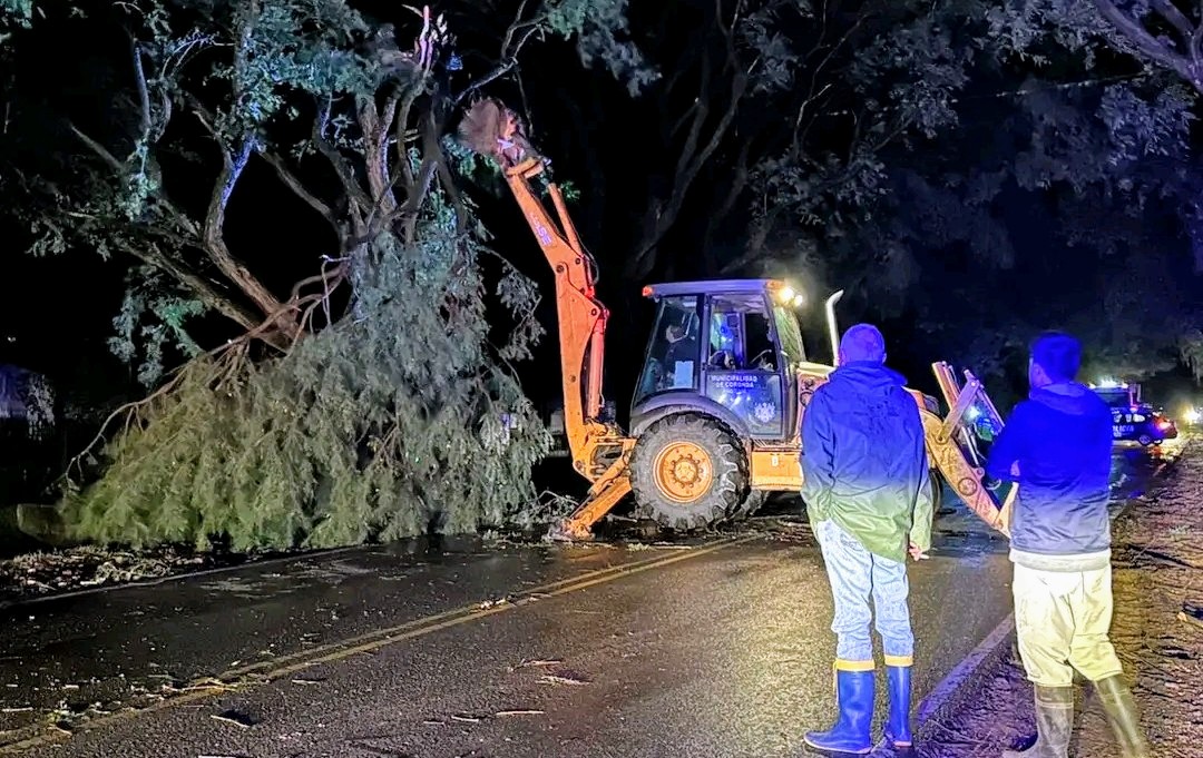 TEMPORAL EN SANTA FE: VIENTOS FUERTES Y DAÑOS EN LA CIUDAD