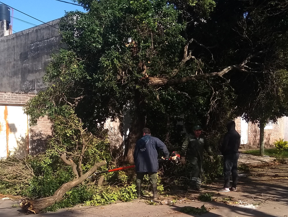 cm24horas_avenidaaristobulodelvalle