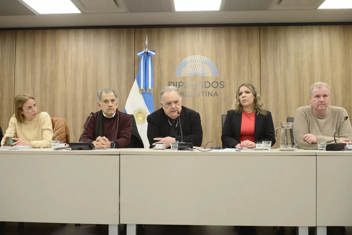 DESIGNACIÓN EN DIPUTADOS: VALDÉS FUE NOMBRADO PRESIDENTE DE LA COMISIÓN DEL MERCOSUR