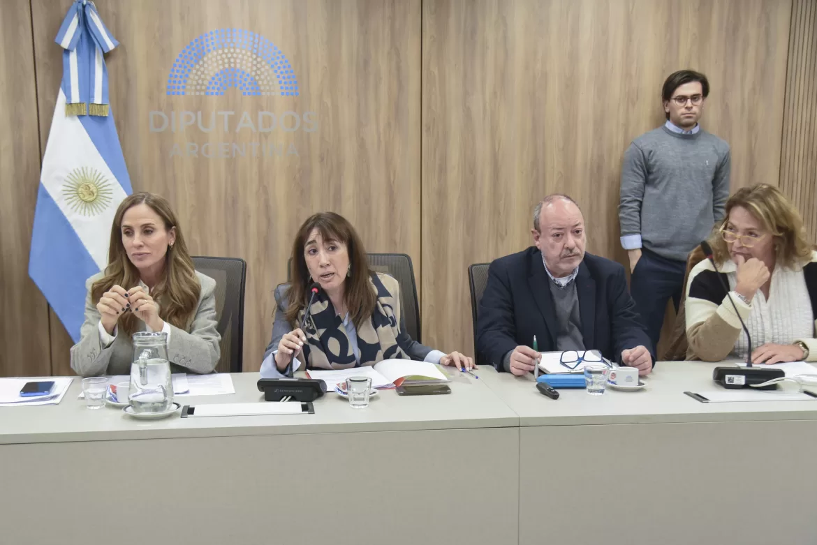 SALUD MENTAL EN LA AGENDA PARLAMENTARIA: DIPUTADOS DEBATIERON SOBRE SALUD MENTAL