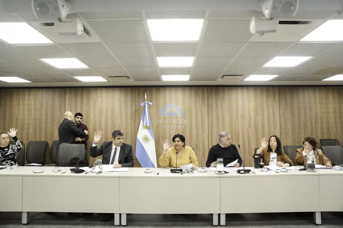 EL CONGRESO AVANZA EN LA ELECCIÓN DEL NUEVO DEFENSOR DE LA NIÑEZ