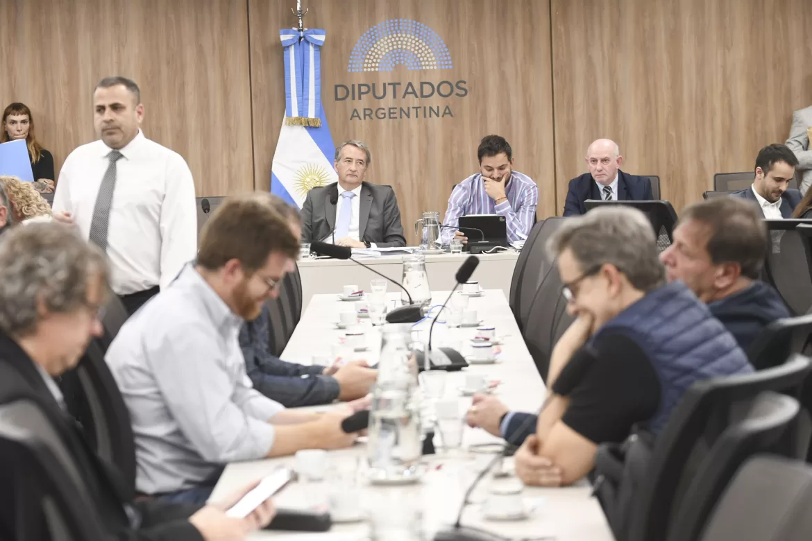 AVANZA LA MODIFICACIÓN DEL RÉGIMEN LEGAL DE LOS DNU