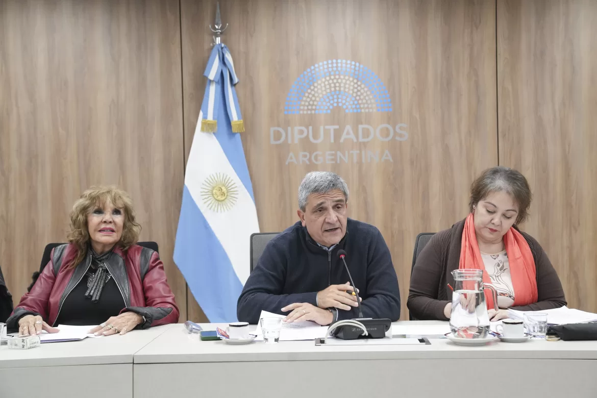 DIPUTADOS DEBATIERON PROYECTOS SOBRE LA ANDIS Y RECLAMAN INFORMES AL GOBIERNO