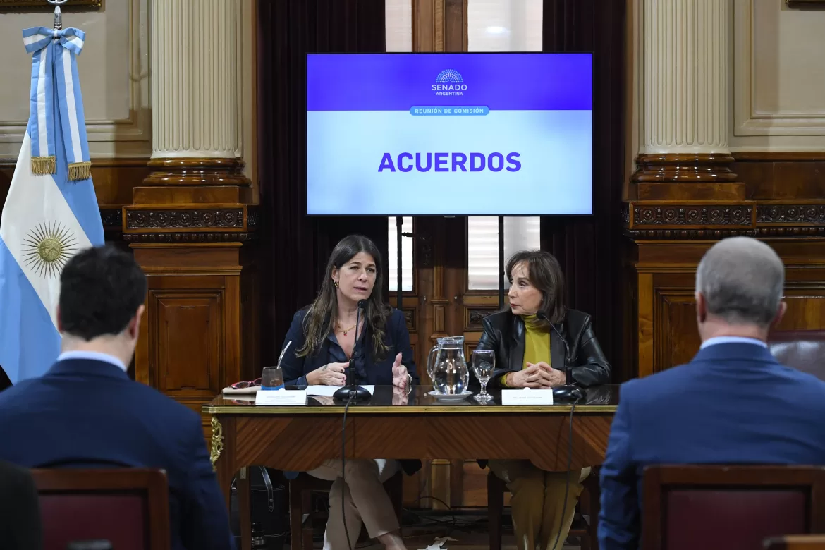 LA JUEZA MIRTA DELIA TYDEN DEFENDIÓ SU POSTULACIÓN EN EL SENADO