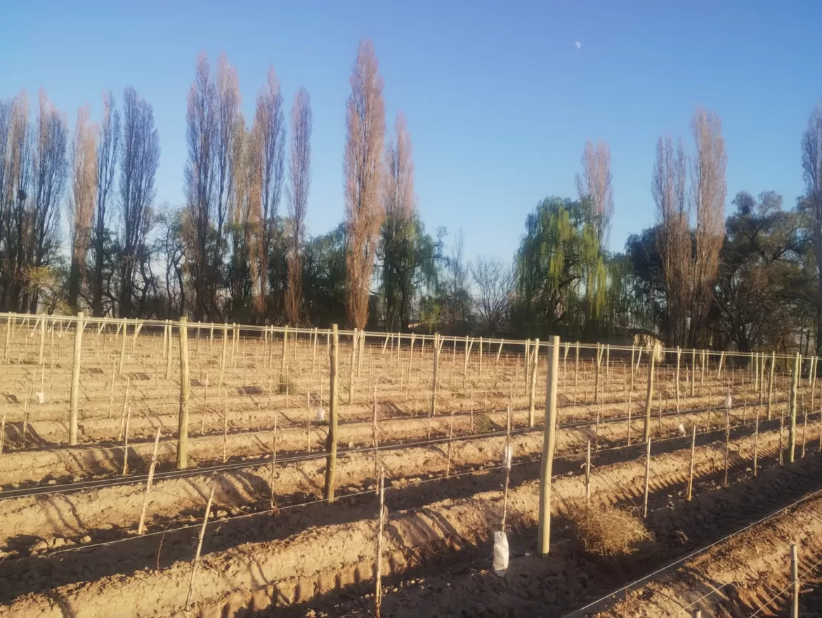 CLIMA EN MENDOZA HOY: LLUVIAS FUERTES, VIENTO Y FRÍO EXTREMO ESTE 13 DE SEPTIEMBRE