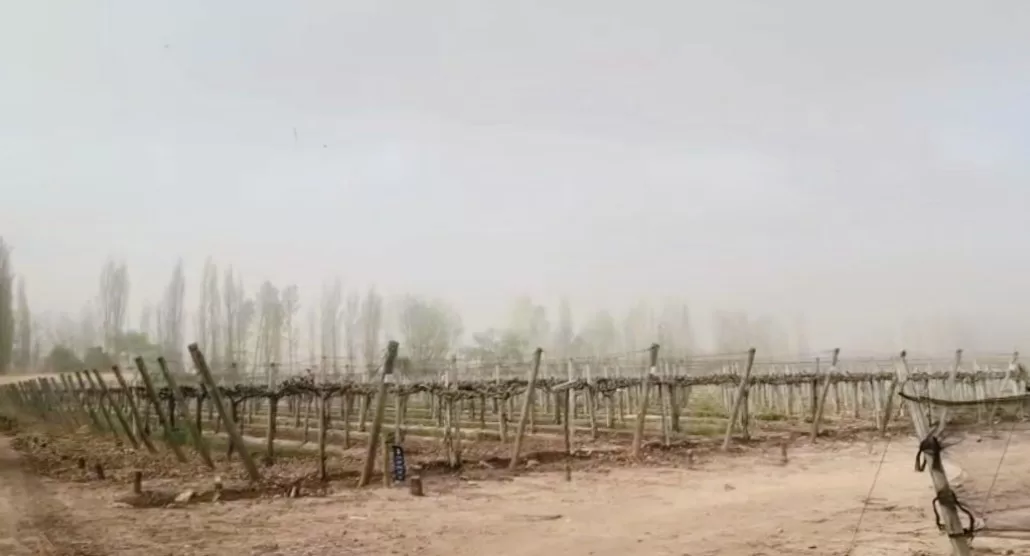 FUERTES RÁFAGAS Y ALERTA NARANJA POR ZONDA EN MENDOZA