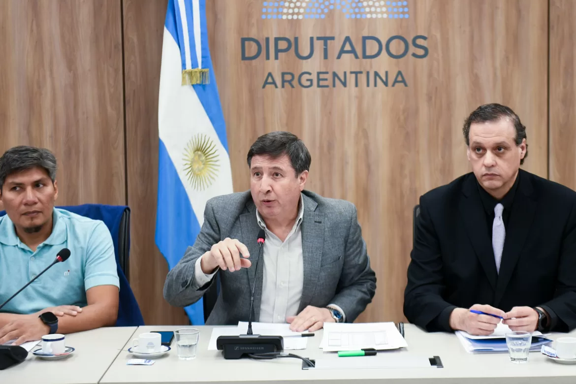 DIPUTADOS: AVANZA LA CREACIÓN DEL “PROGRAMA BANCO AZUL” PARA PERSONAS CON TEA