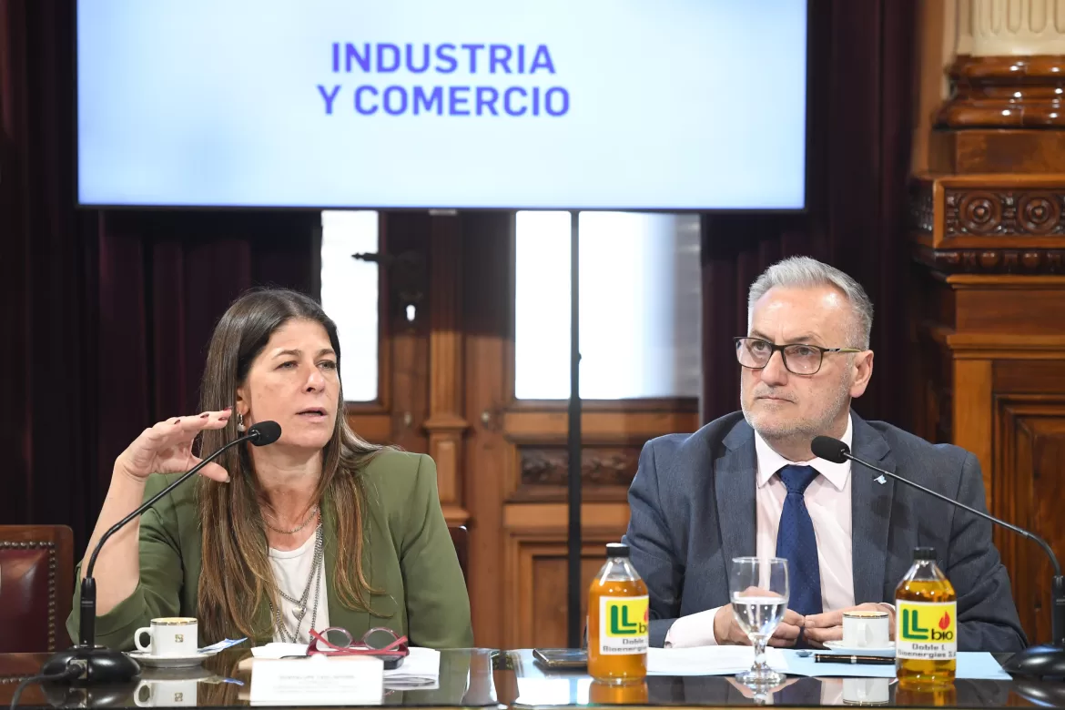 REUNIÓN INFORMATIVA DE LA COMISIÓN DE INDUSTRIA Y COMERCIO