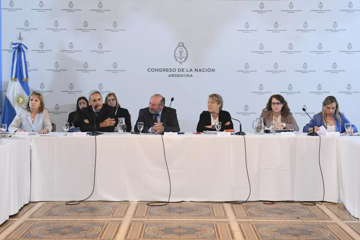 LA BICAMERAL AVANZA HACIA LA DEFINICIÓN DEL NUEVO DEFENSOR DEL PUEBLO Y PROCURADOR PENITENCIARIO