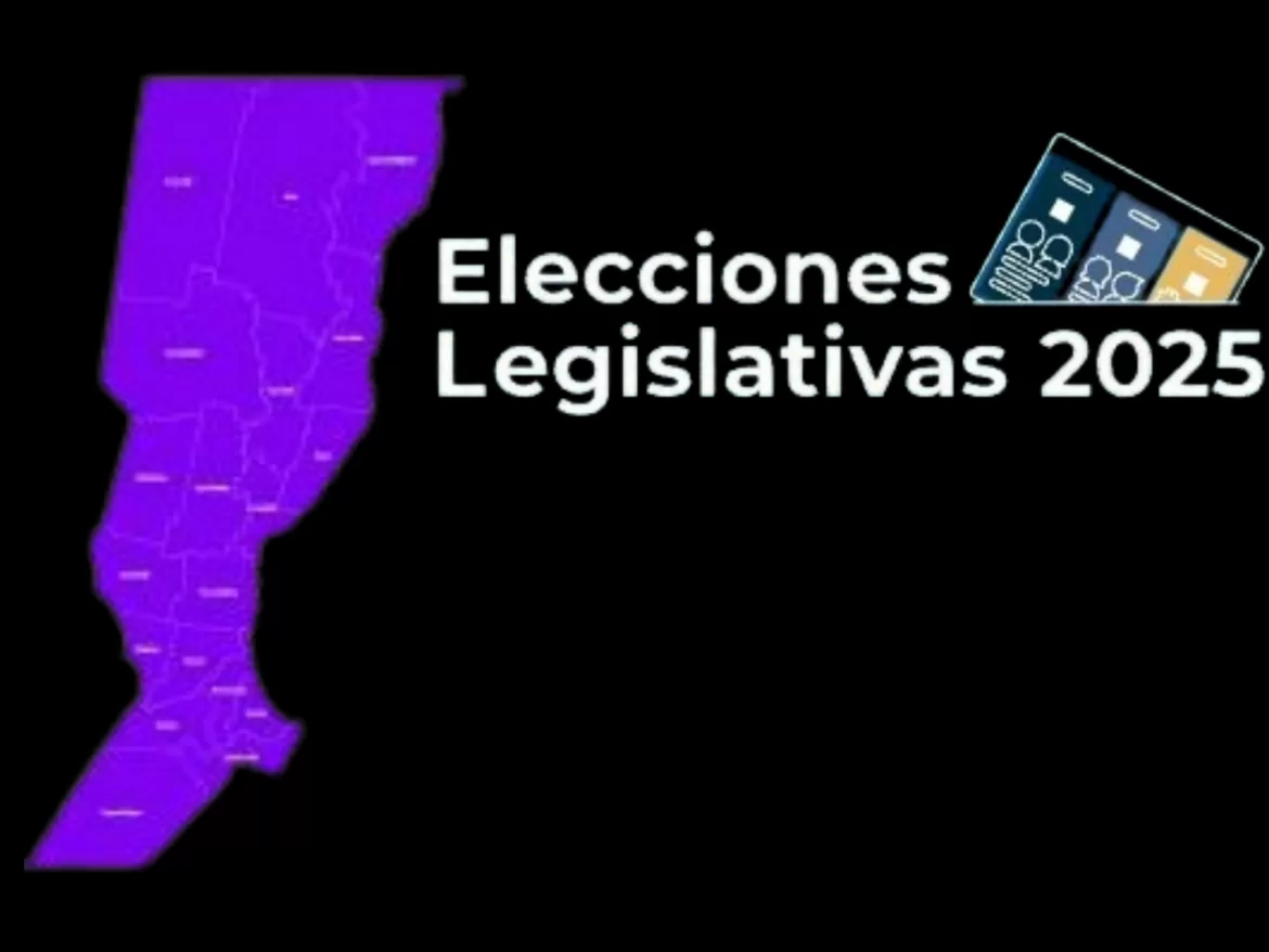 SANTA FE RENUEVA SU REPRESENTACIÓN EN DIPUTADOS: LLA SE IMPONE Y PROVINCIAS UNIDAS ENTRA AL CONGRESO
