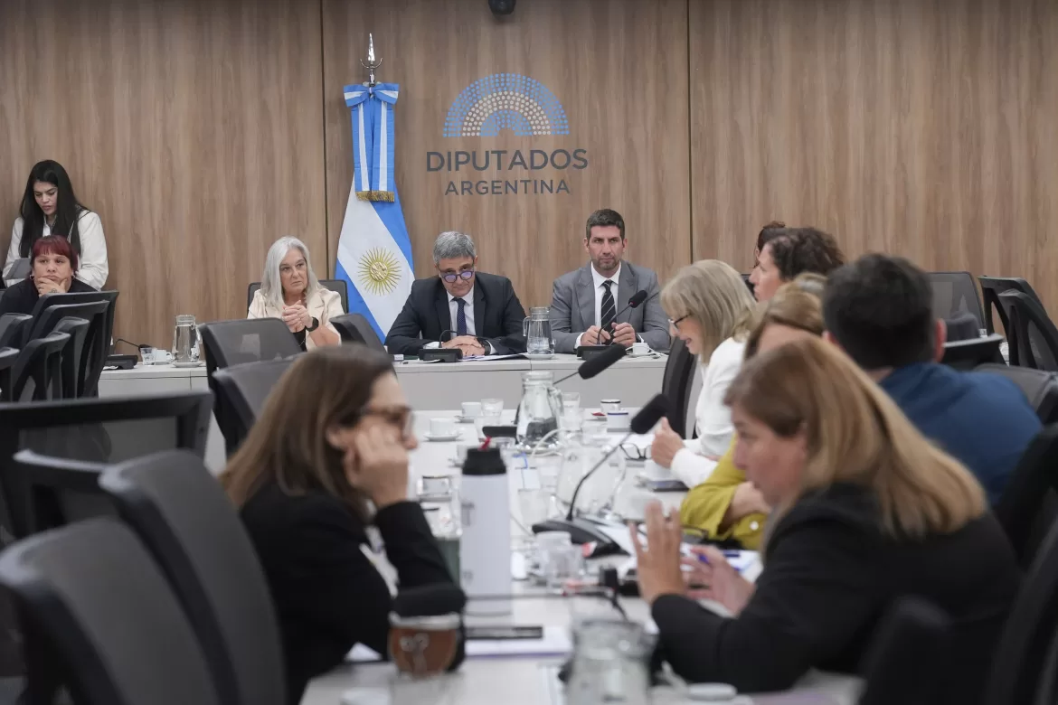 DIPUTADOS ANALIZARON PROYECTOS SOBRE SALUD PÚBLICA Y PREVENCIÓN DE DISCAPACIDADES