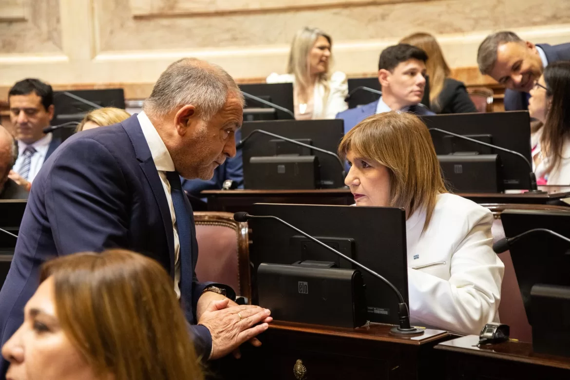 PATRICIA BULLRICH DENUNCIÓ A TAPIA Y TOVIGGINO ANTE LA CONMEBOL POR PRESUNTAS IRREGULARIDADES EN LA AFA