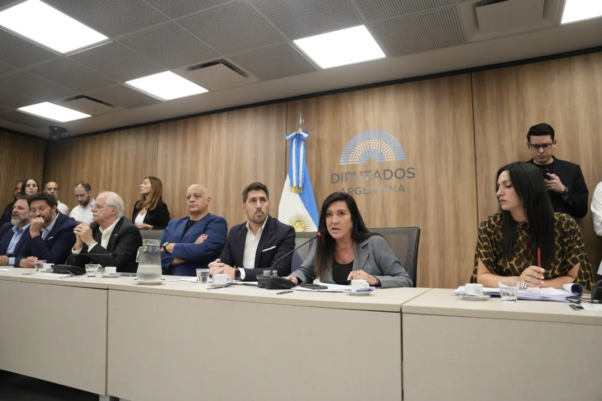 BAJA DE LA EDAD DE IMPUTABILIDAD: EL CONGRESO AVANZA CON UN NUEVO RÉGIMEN PENAL JUVENIL