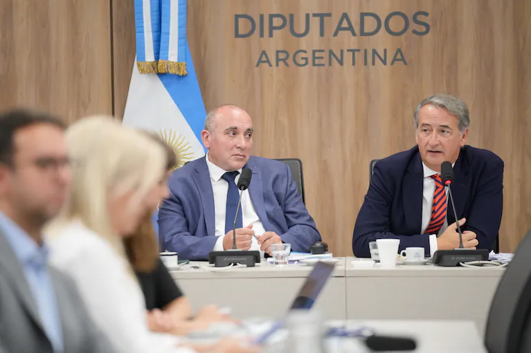 DEBATE POR LA LEY DE GLACIARES: EL CONGRESO CONVOCA A AUDIENCIAS PÚBLICAS EN MEDIO DE CUESTIONAMIENTOS