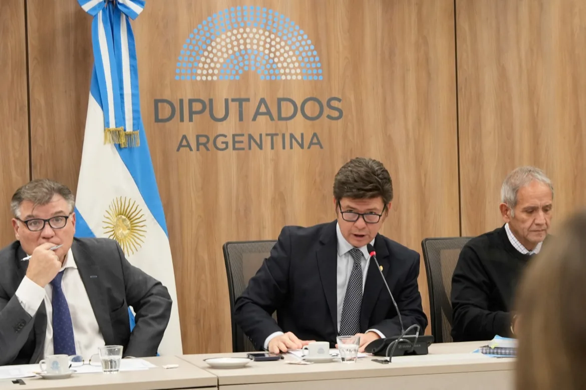DIPUTADOS COMPLETÓ LA CONFORMACIÓN DE COMISIONES CLAVE Y DESIGNÓ NUEVAS AUTORIDADES