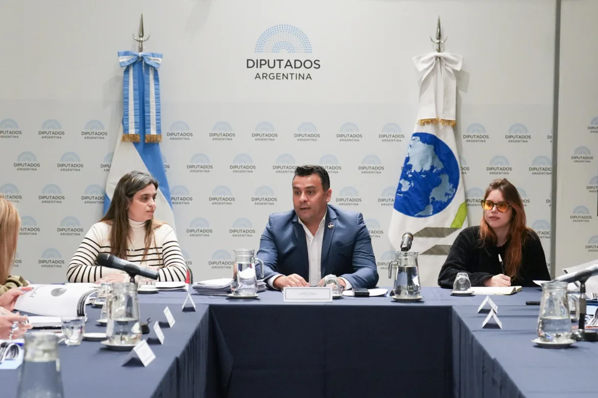 LA CÁMARA DE DIPUTADOS PUSO EL FOCO EN EL VÍNCULO CON LA OCDE