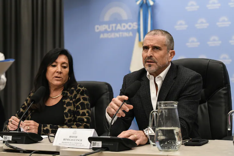 DIPUTADOS AVANZA CON LAS REFORMAS DEL BCRA Y DE INOCENCIA FISCAL
