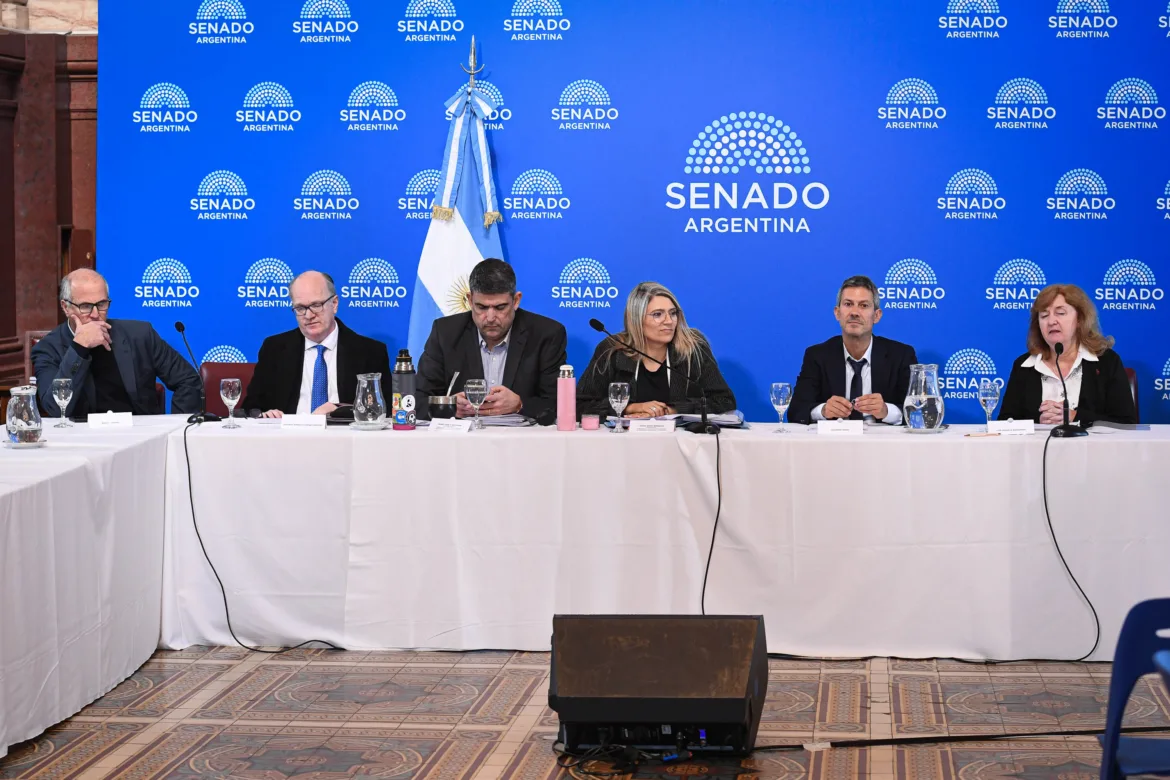 SOCIEDADES: EL SENADO AVANZA CON LA REFORMA Y SUMA NUEVAS MIRADAS