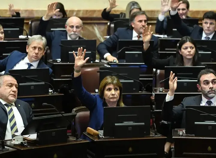 EL SENADO CONVIRTIÓ EN LEY LA INOCENCIA FISCAL II