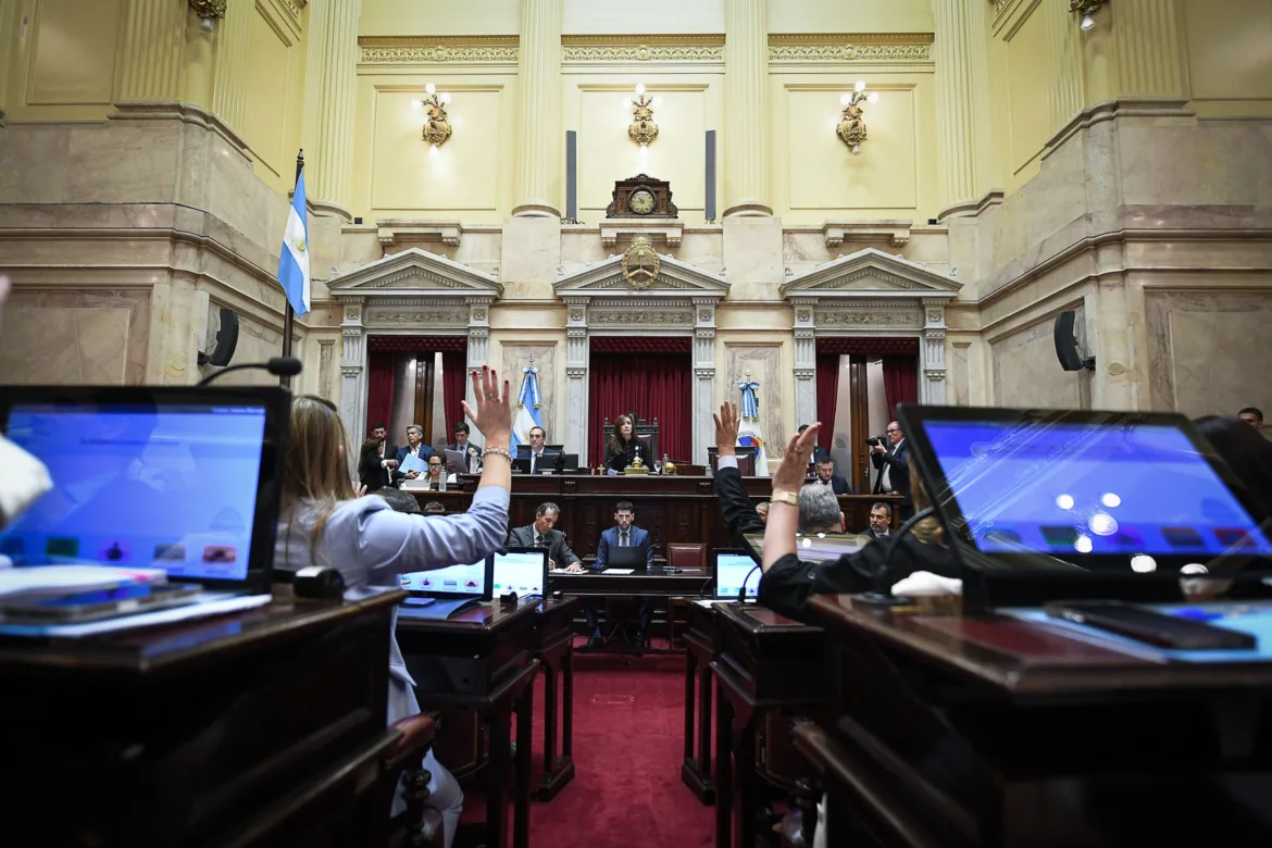 EL SENADO APROBÓ LA REFORMA DE LA LEY DE SALUD MENTAL